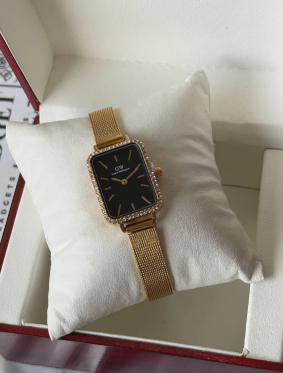 DW Quadro Lumine (Analog Watch)