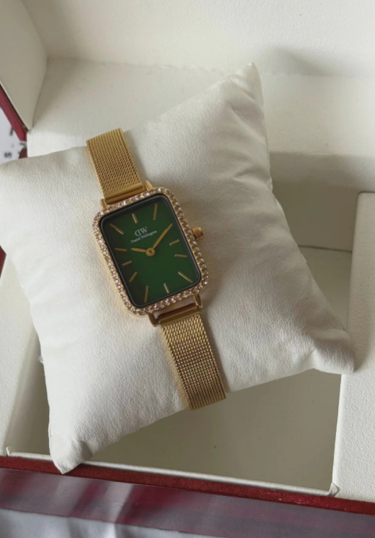 DW Quadro Lumine (Analog Watch)