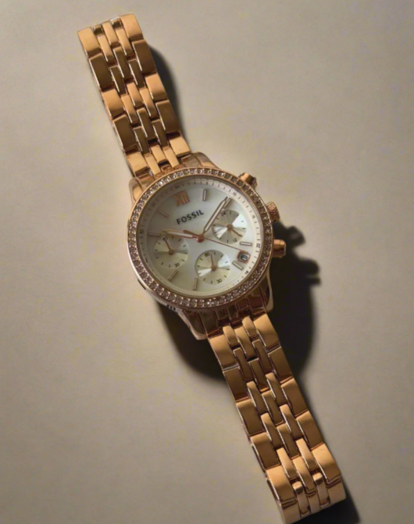 Fossil-Neutra (Chronograph Watch)