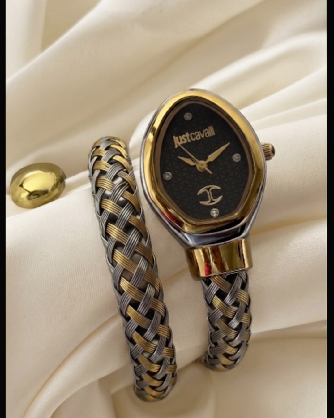 Just c. Snake (Analog Watch)