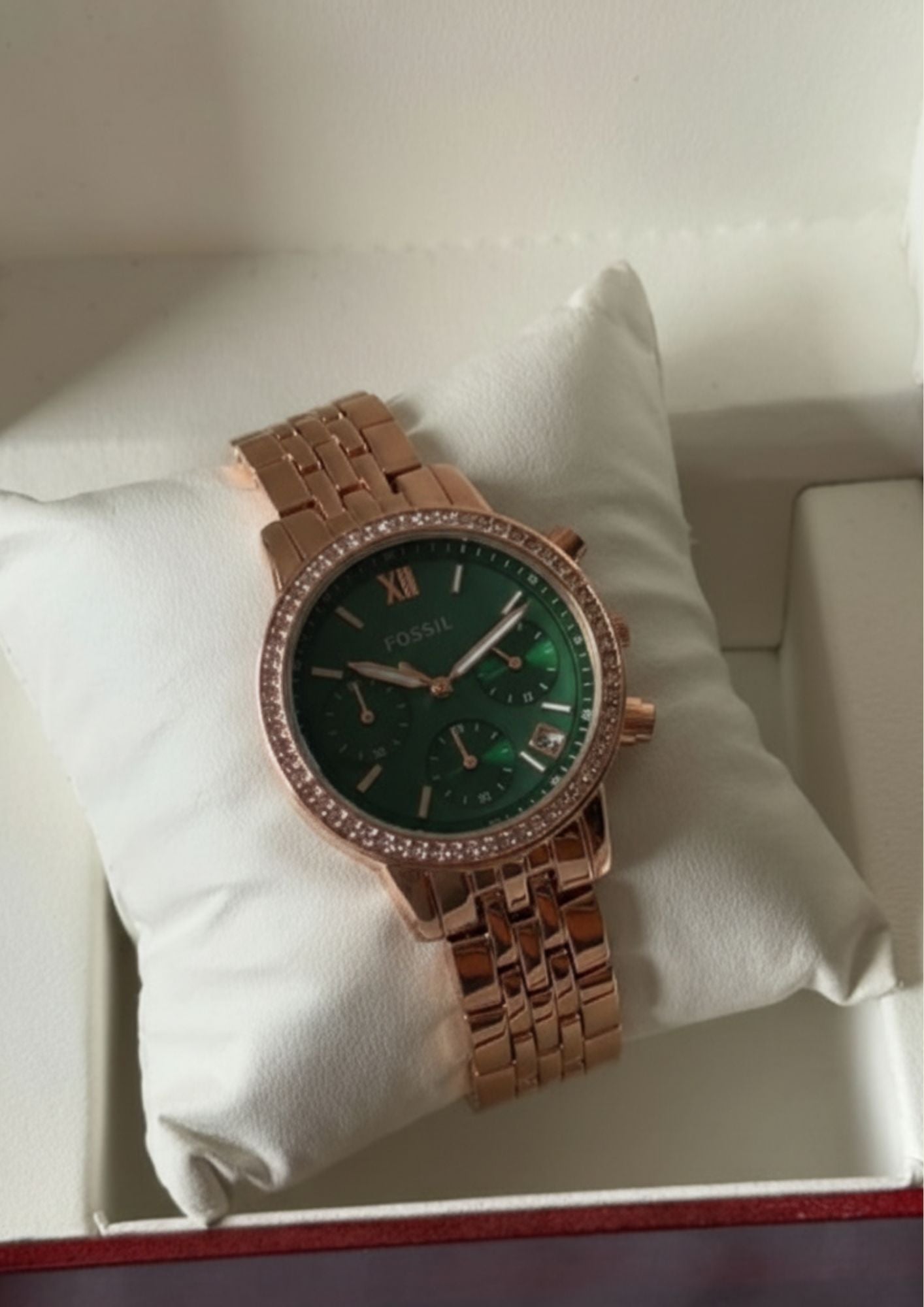 Fossil-Neutra (Chronograph Watch)